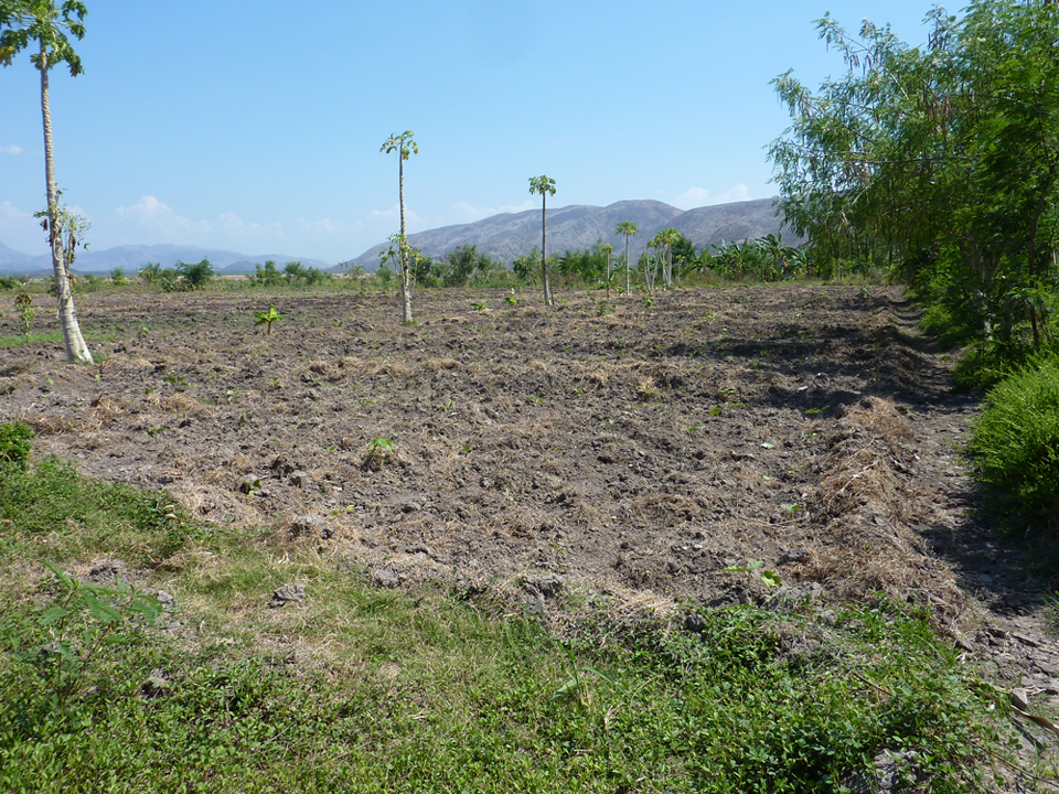 Site de rencontre haitien